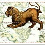 Zodiac Sign Leo Constellation, vint..