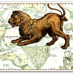 Zodiac Sign Leo Constellation, vintage celestial map printed on parchment paper. Buy 3 and get 1 FREE